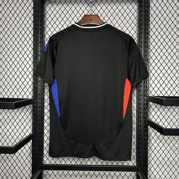 Camisola Lyon 2024/25 Alternativa - Vista 2